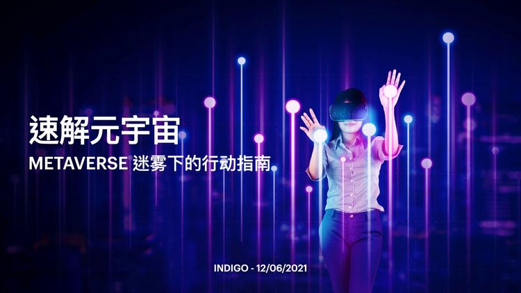 INDIGO LIVE / 速解元宇宙